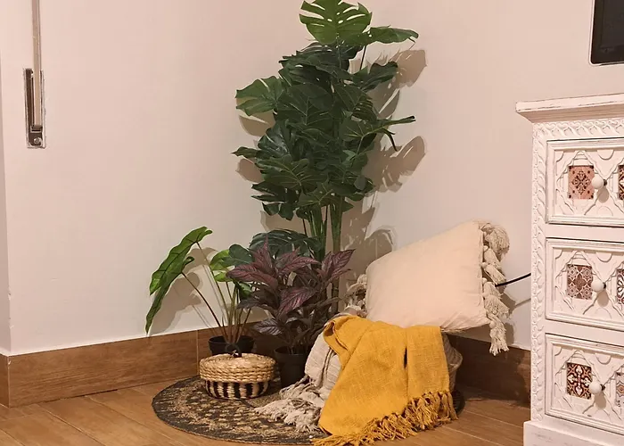 Boho Garden